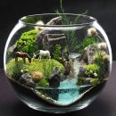 테라리움A 이미지