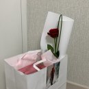 더서스오브파워 이미지