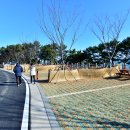 대왕암공원 캠핑장 이미지