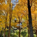 주식회사알록 이미지