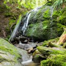 05/09/26 Cougar Mountain Sky country 이미지