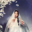 문라이트스튜디오 이미지