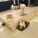 일구이사 이미지