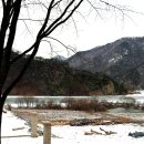 왕소나무길 Daum카페
