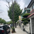 사림동125 이미지