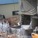 건수농장 이미지