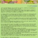 에이치투(H2) 이미지