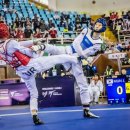 팀에이스태권도 이미지