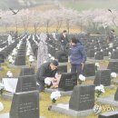 3645 파이낸셜뉴스