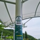 오토오아시스 이천안흥점 | 강원도 동해 무릉별유천지 라벤더 정원 알파인코스터 시멘트 아이스크림 가족여행 즐기기!