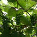 용범농장 이미지