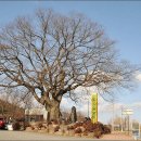 화현관광농원 이미지