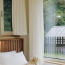 스테이우린 이미지