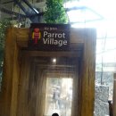 (주)아쿠아넷 | 일산 한화 아쿠아플라넷 관람 후기★