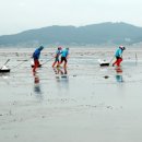 태안군, 근흥면 마금리서 ‘패류어장 재생 시범 사업’ 추진!(서산태안신문) 이미지