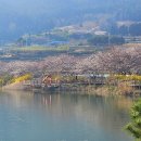 승월경로당 이미지