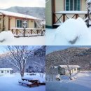 샛들민박 이미지