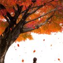 비금중학교 이미지