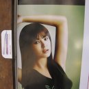 스타일러쉬