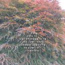 성제 카카오 검색결과