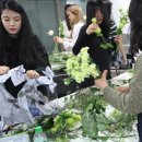 플라워디자인 이미지