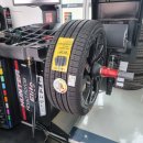 신어타이어 이미지