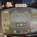 단카이참치 이미지