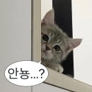 주*완
