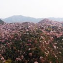 무정면사무소 이미지