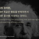 라트 이미지