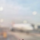 송림회관 | [제주도] 3월에 떠난 ２박 ３일 제주 동쪽 여행 １ - '여행 일정、 날씨、 맛집、 카페、 여행지 추천'