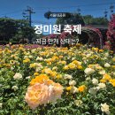 목공(일요일-가족 일일체험) | 서울대공원 장미원 축제 가는법, 개화 상태와 포토존 총정리