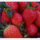 갈마농장 이미지