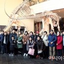 국립목포대학교박물관 이미지