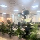 명성할인마트 | 더카페X페르케노 롯데마트 권선동카페에서 차와 케익 먹은 후기 ^^~