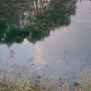 황강은빛백사장길 이미지