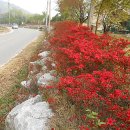 중앙앵글 이미지
