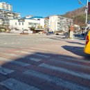 태백경찰서 앞 횡단보도 이미지