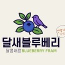 금호생막창
