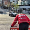 장미꽃길 1 이미지