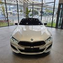 블루카모터스 | BMW 850i 그란쿠페 Msp Pro 최고의 고성능 패밀리카 김해전시장 출고 후기