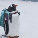 동아리자체활동 | 25-2 경제연합동아리 이코르 지원 및 활동 후기