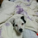 양덕초등학교 앞 이미지