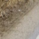 MS 행정사 사무소 이미지