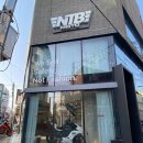 엔티비모토