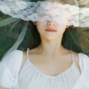 용인운수(주) 이미지