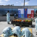 강서구-33 아이뉴스24