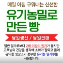 노아스미디어 | 여긴 빵 때문에 간다” 분당 K헤밍웨이 솔직 후기