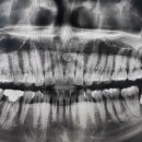 그레이스 고양이 심장&치과병원 이미지