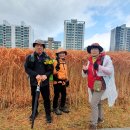 해파랑길 7코스 이미지